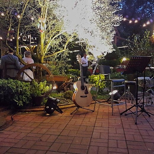 Profesyonel DJ ve Ses & Işık Kiralama Hizmetleri | Ogzsound